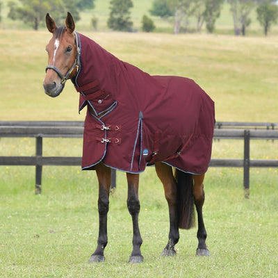 Weatherbeeta ComFiTec Essential Turnout Combo Rug  - Lite Plus 50g