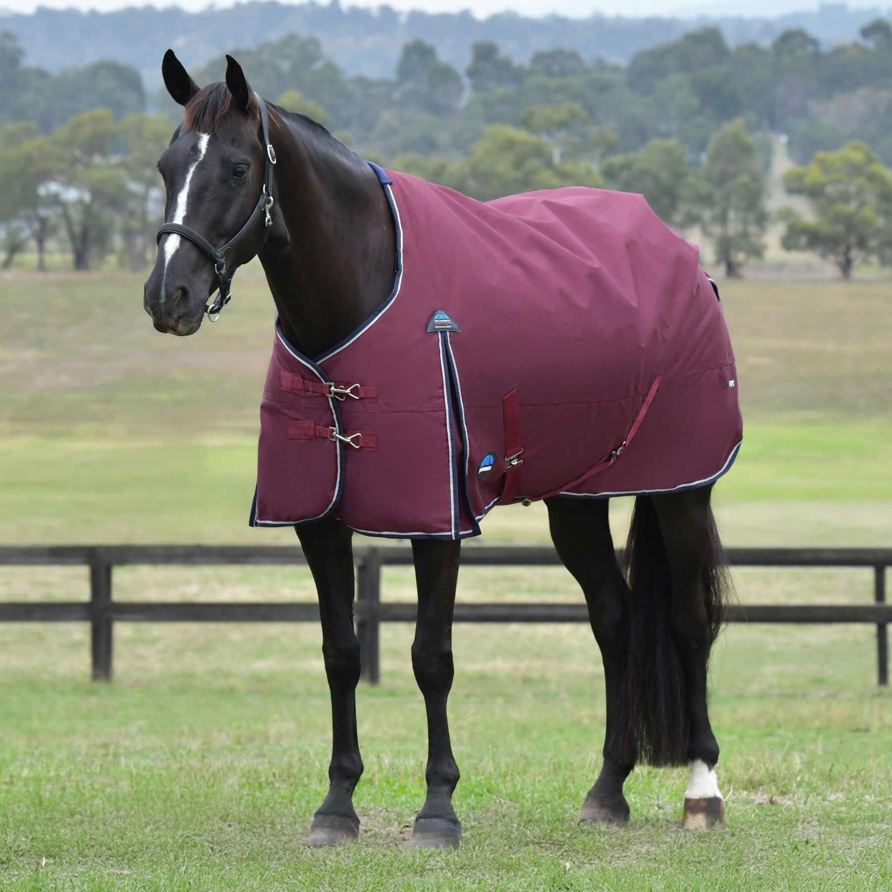 Weatherbeeta Comfitec Essential Turnout Standard Neck Cover - Medium 220g