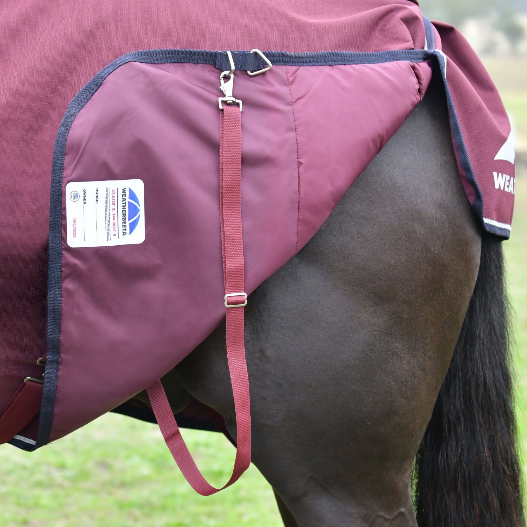 Weatherbeeta Comfitec Essential Turnout Standard Neck Cover - Medium 220g