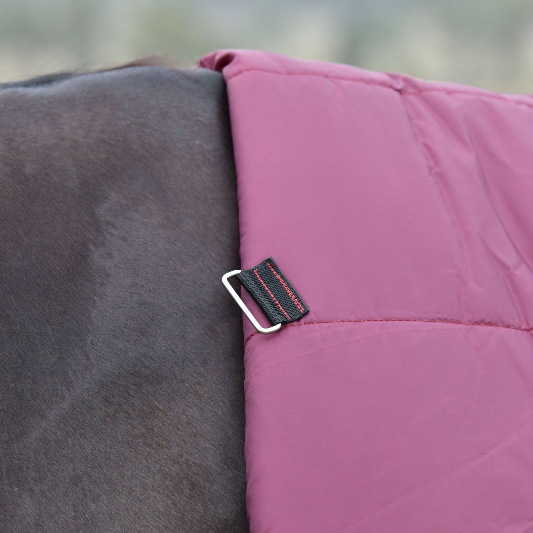 Weatherbeeta Comfitec Essential Turnout Standard Neck Cover - Medium 220g