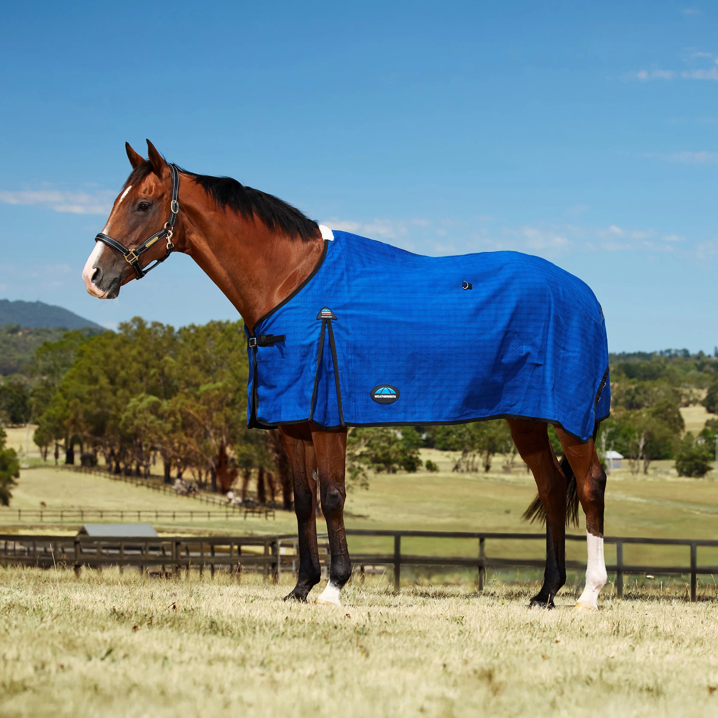 Weatherbeeta Wool Lined Canvas Standard Neck Rug