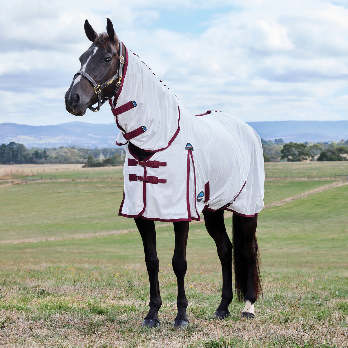 Weatherbeeta ComFiTec Fly Sheet Combo Cover