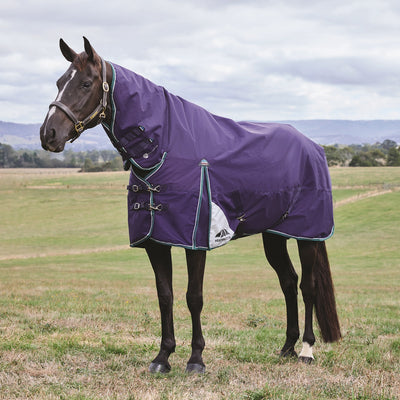 Weatherbeeta ComFiTec Plus Dynamic Turnout Combo Rug - Medium Lite 100g