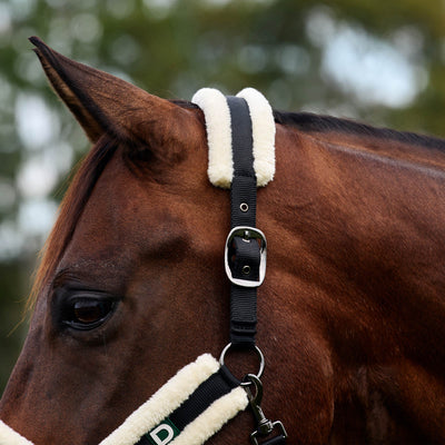 Dublin Soft Fit Headcollar