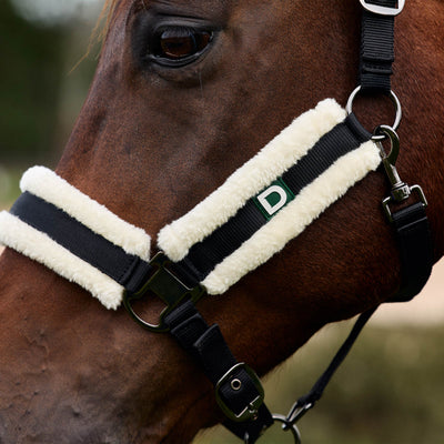 Dublin Soft Fit Headcollar