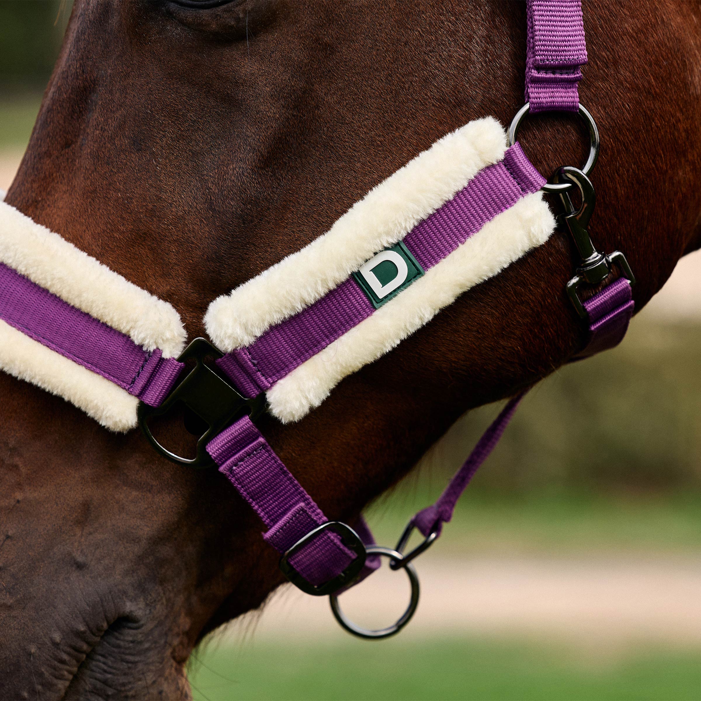 Dublin Soft Fit Headcollar