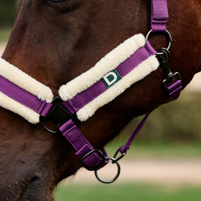 Dublin Soft Fit Headcollar