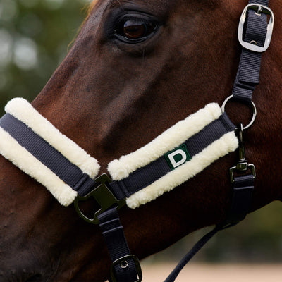 Dublin Soft Fit Headcollar