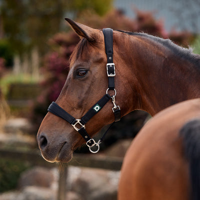 Dublin Neo Comfort Headcollar