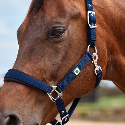 Dublin Neo Comfort Headcollar