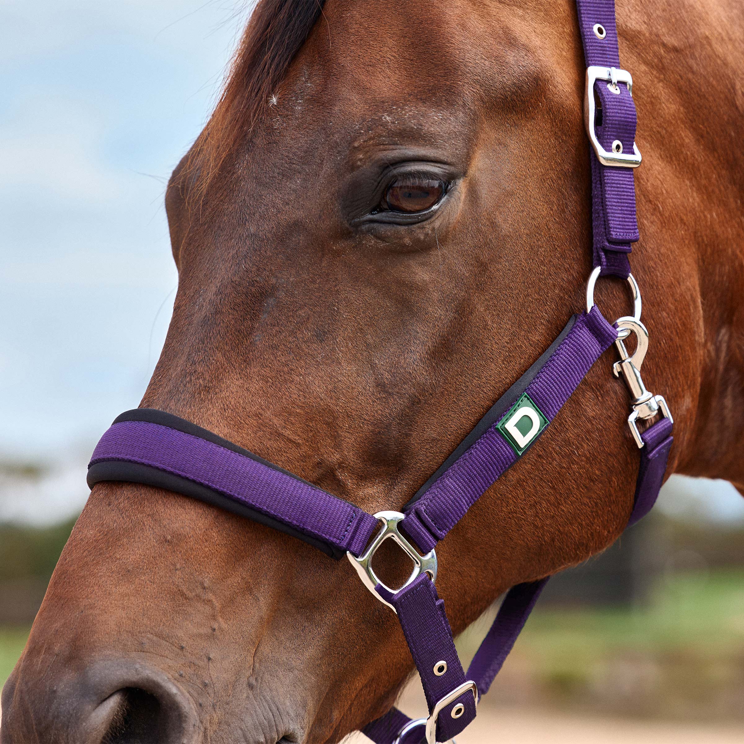 Dublin Neo Comfort Headcollar