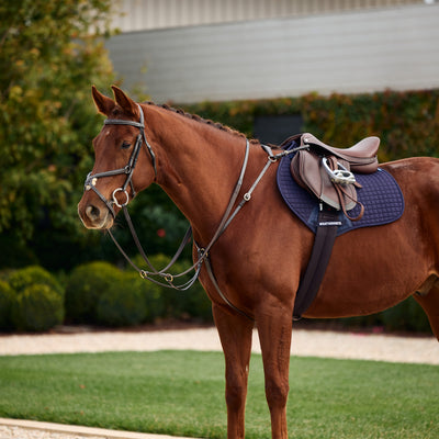 Dublin 3-Point Breastplate