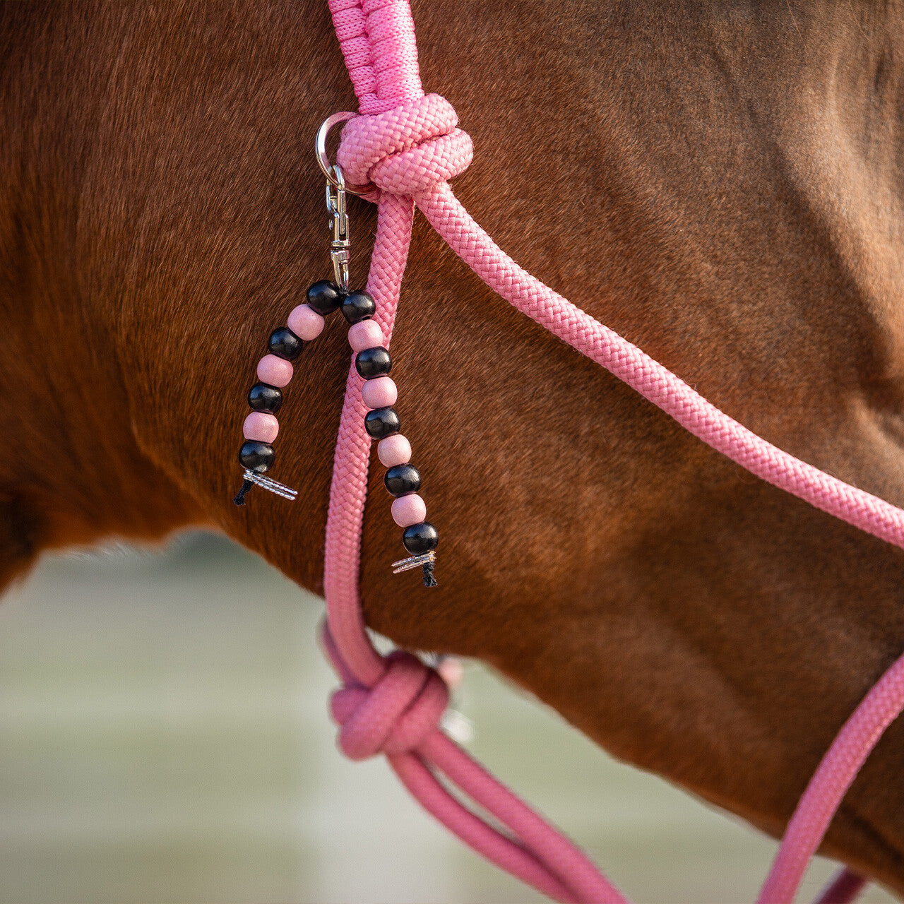 QHP Rope Halter Combi Liberty