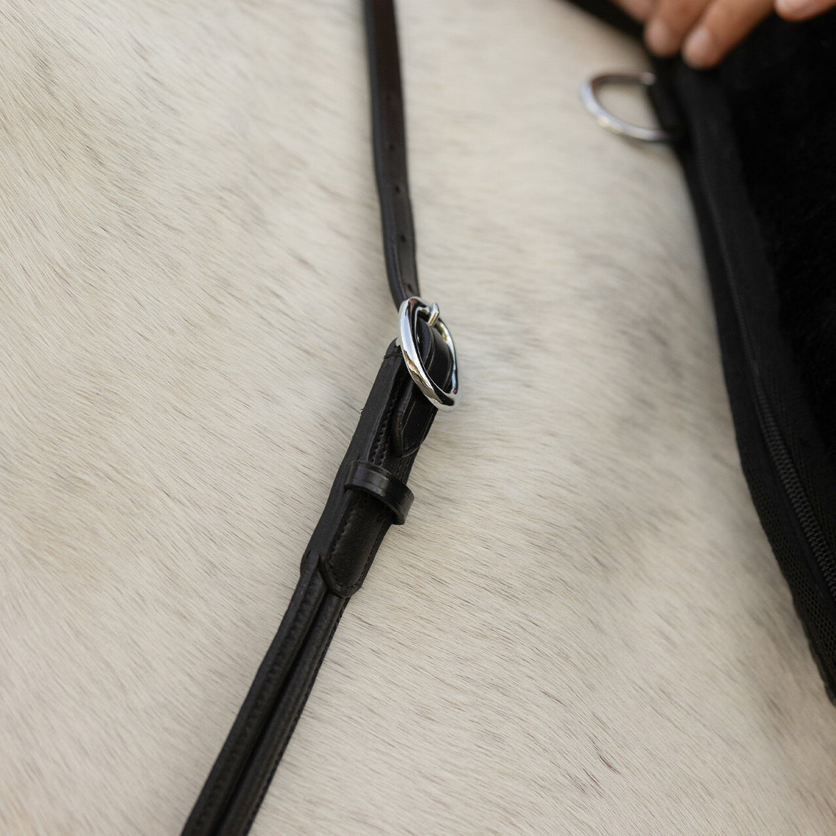 QHP Leather Liberty Neck Rope