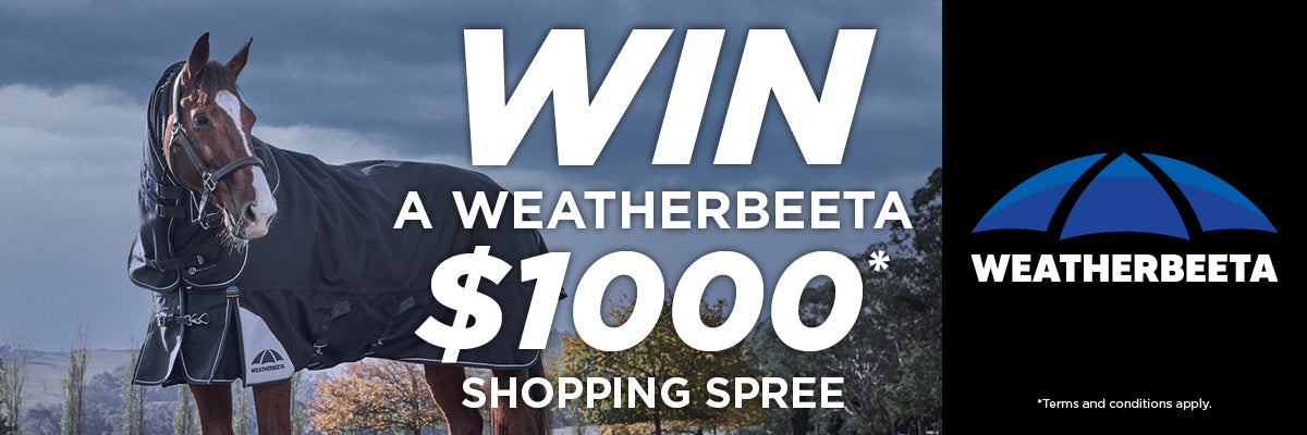 Weatherbeeta for Horses