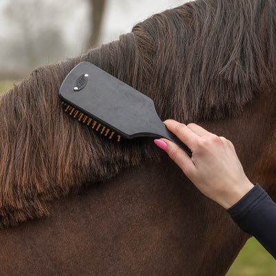 QHP Grooming Set - Royal Black