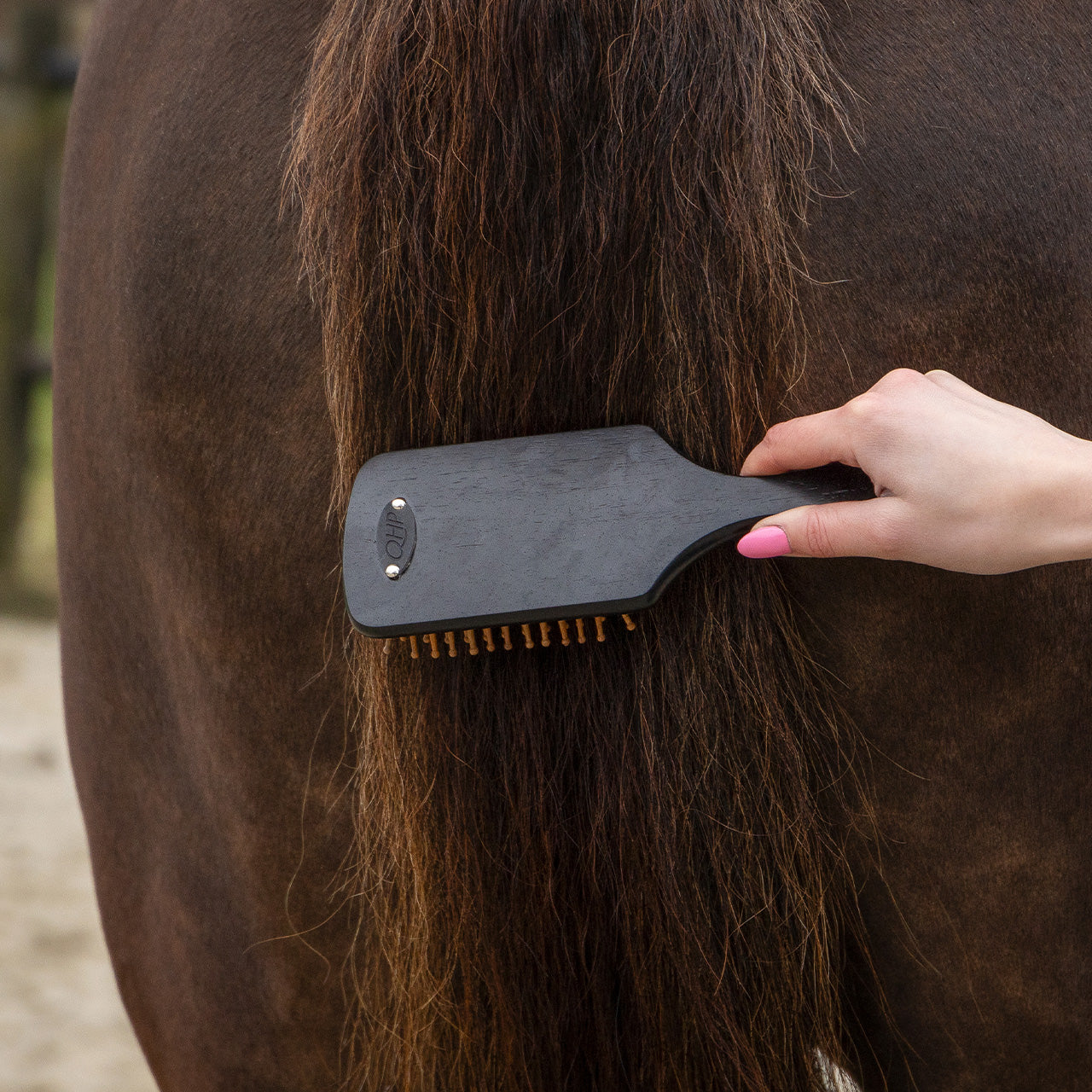 QHP Grooming Set - Royal Black