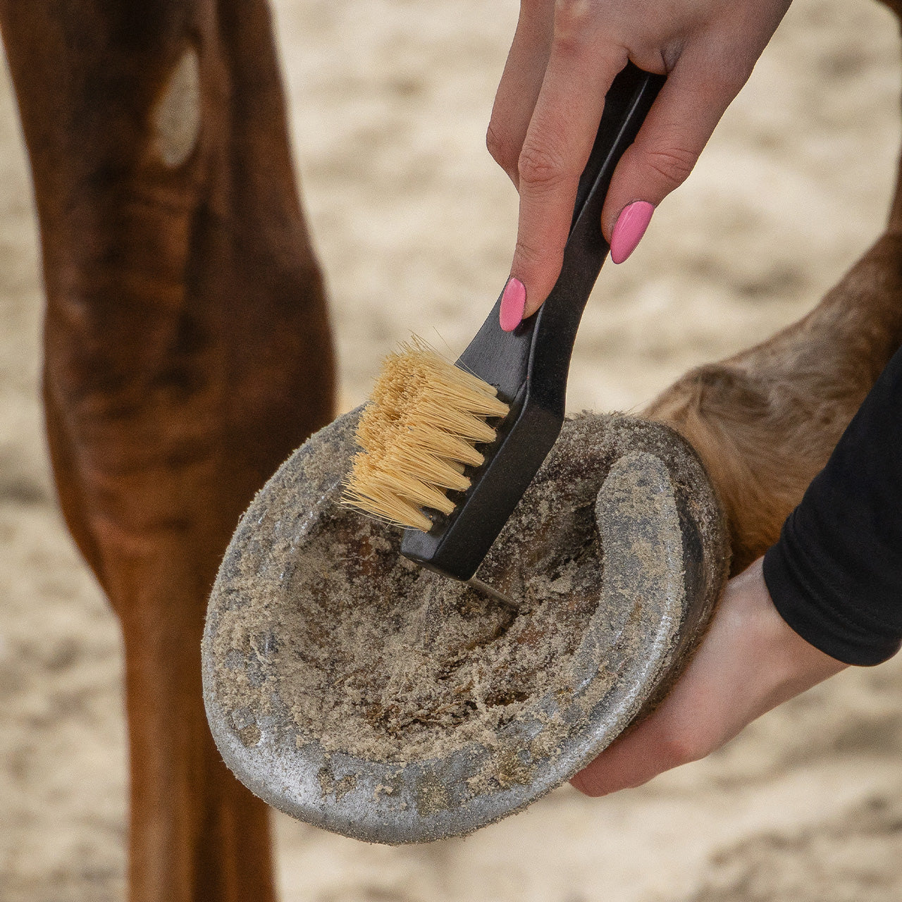 QHP Grooming Set - Royal Black