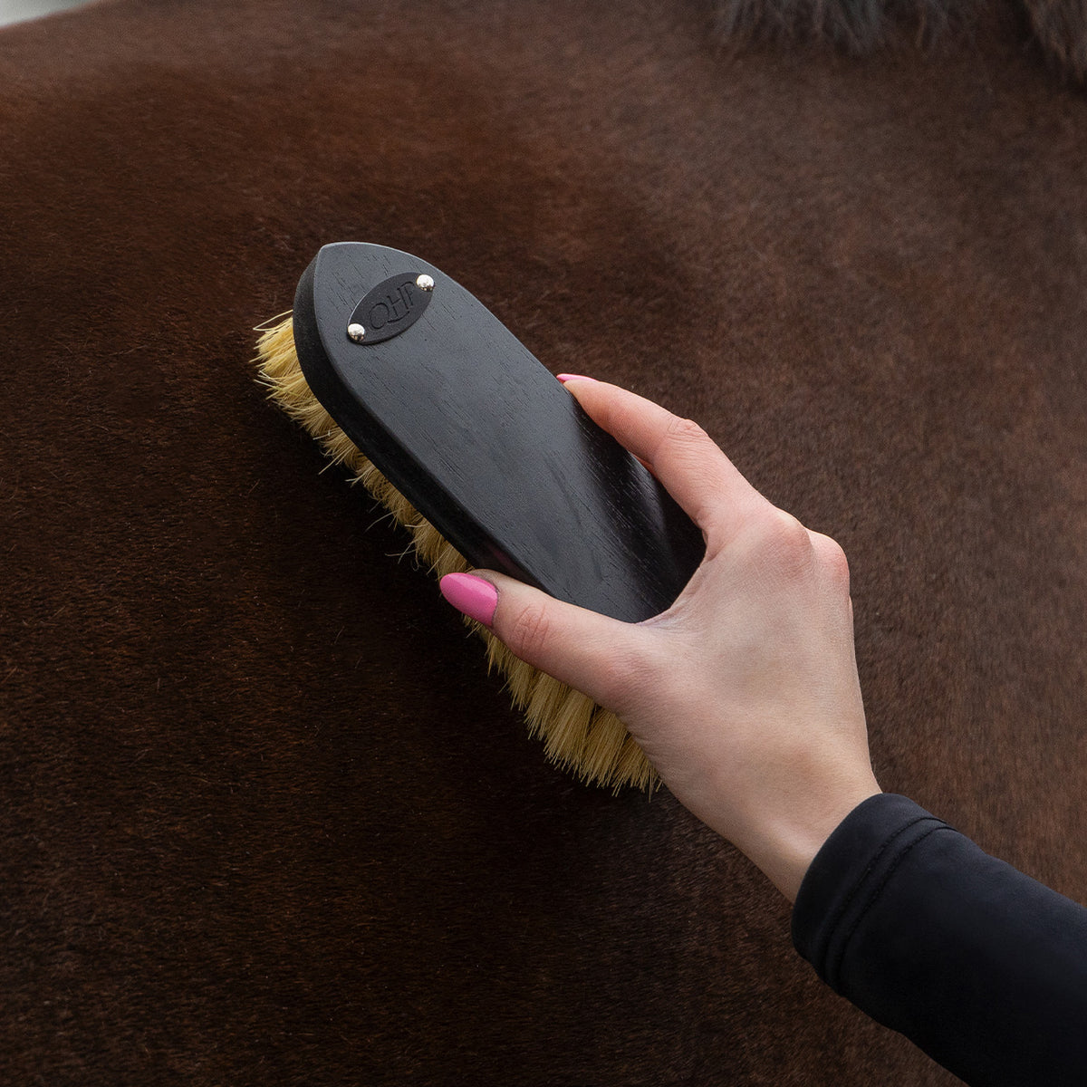 QHP Grooming Set - Royal Black