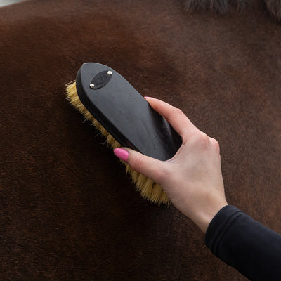 QHP Grooming Set - Royal Black
