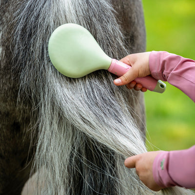 QHP Grooming Set - Lucky Start