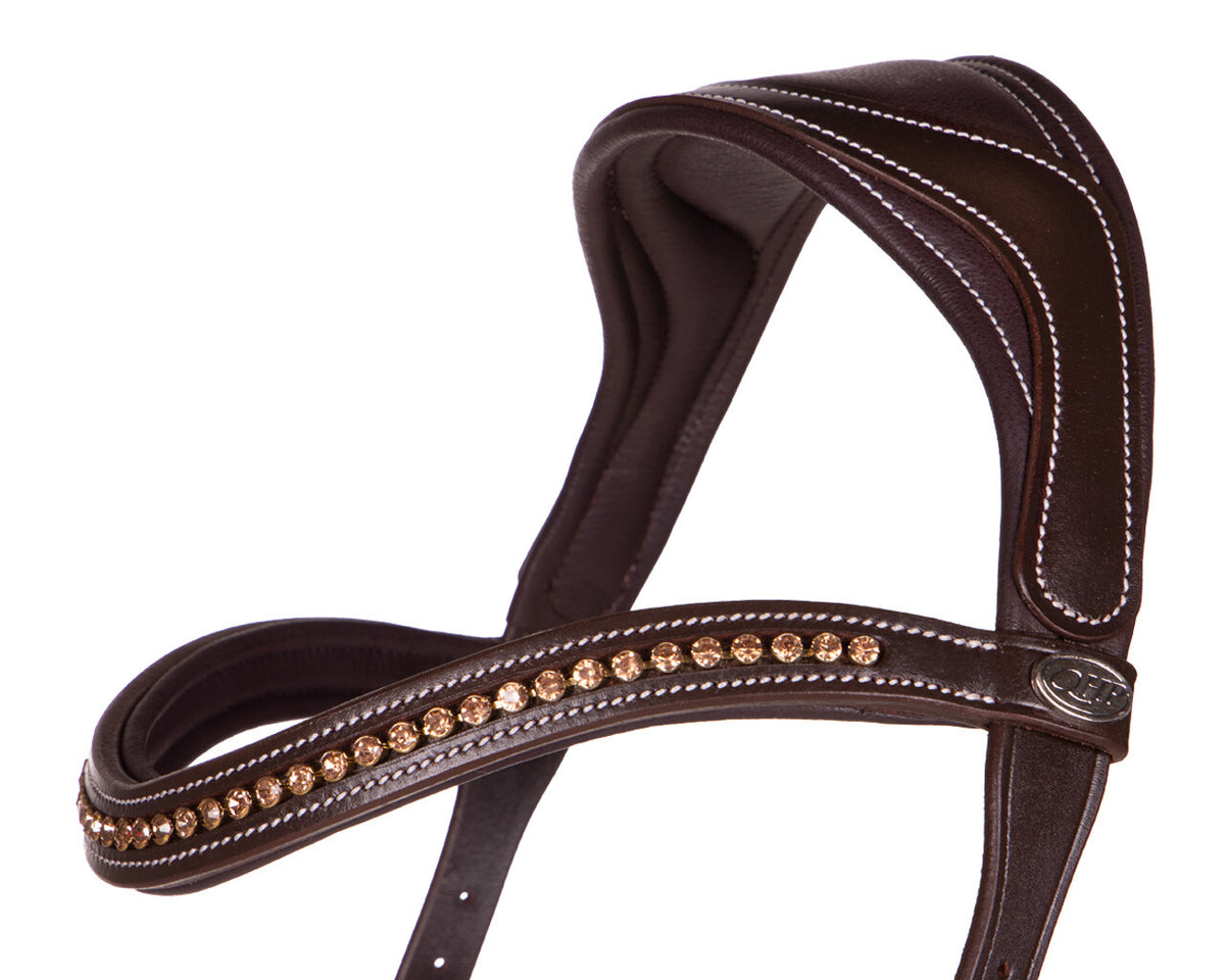QHP Bitless Bridle Anatomical