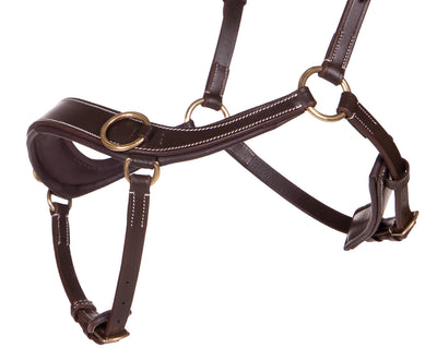 QHP Bitless Bridle Anatomical