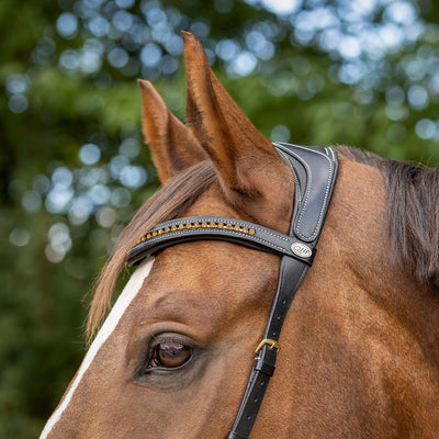 QHP Bitless Bridle Anatomical