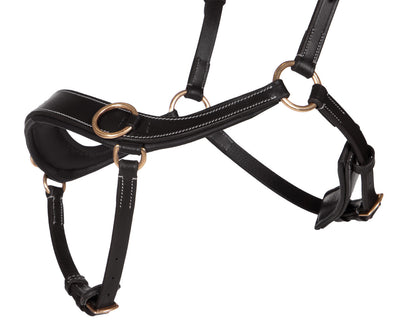 QHP Bitless Bridle Anatomical