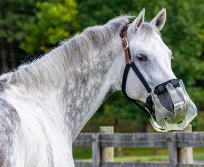 Flexible Filly Grazing Muzzle