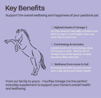 Four Flax Equine Omega 3
