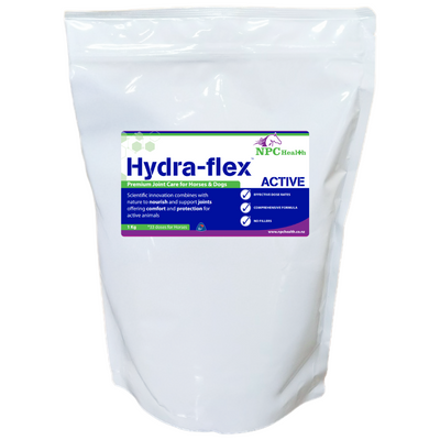 NPC Hydra Flex Active