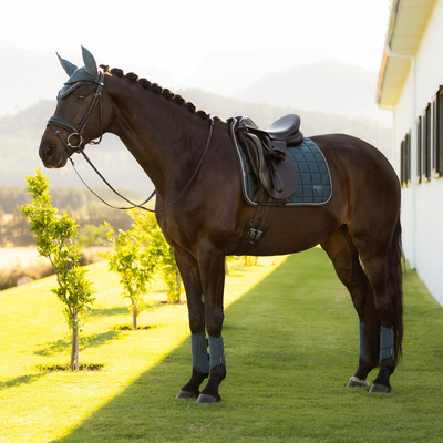 LeMieux Loire Classic Dressage Square Saddle Pad - SS26