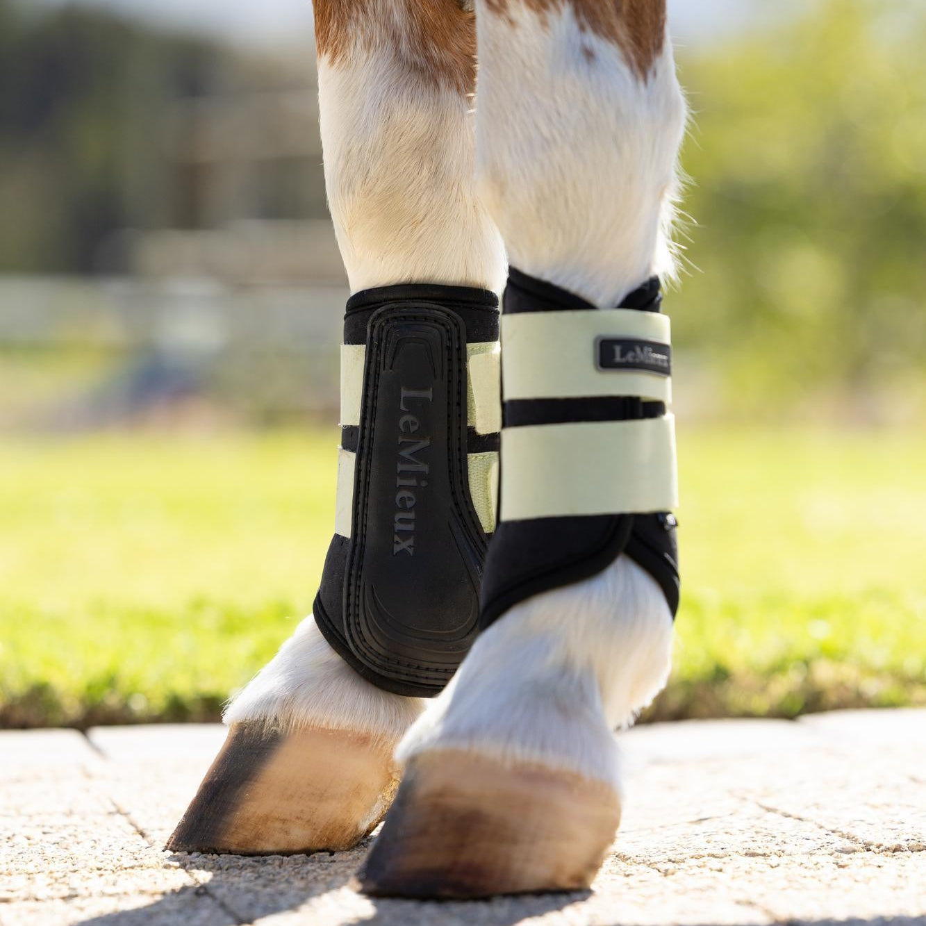 LeMieux Mini Air-Tek Grafter Brushing Boots - SS26