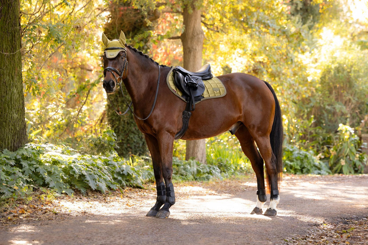 LeMieux Loire Classic GP Square Saddle Pad - AW26