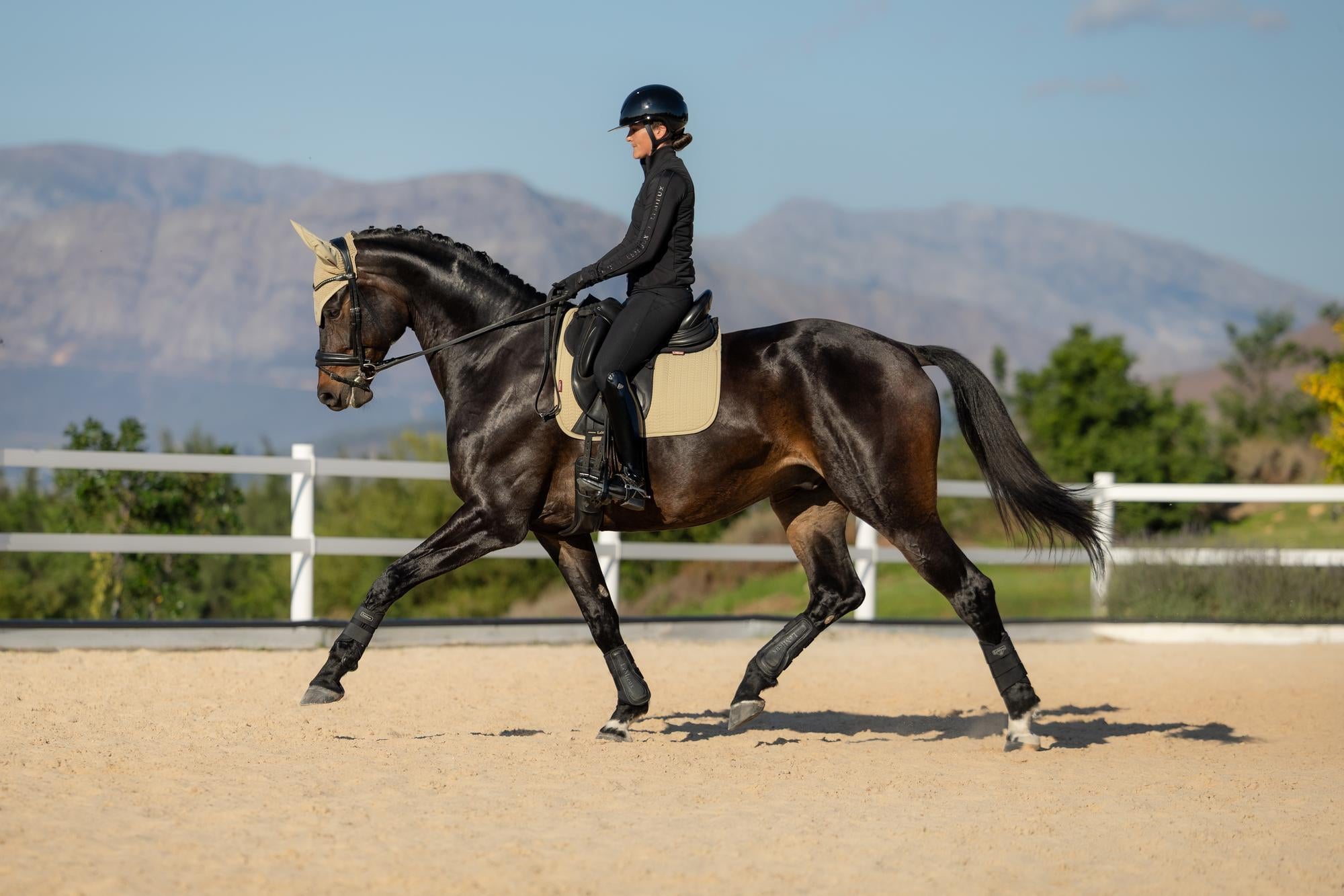 LeMieux Essence Dressage Square Saddle Pad - AW26