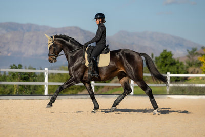 LeMieux Essence Dressage Square Saddle Pad - AW26