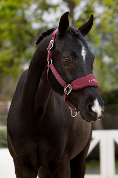 LeMieux Breakaway Vogue Headcollar & Leadrope - AW26