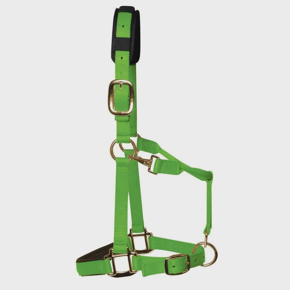 KM Elite Luxury Padded Headcollar
