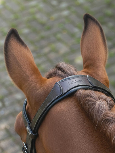 LeMieux Arika Anatomic Dressage Bridle