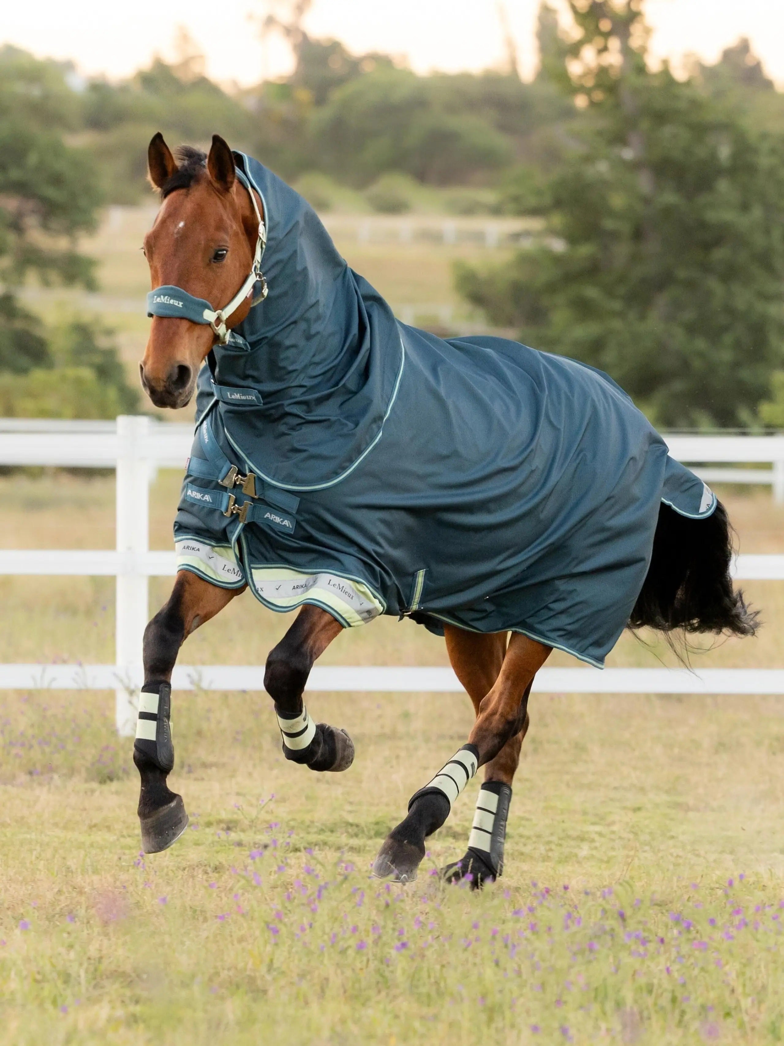 LeMieux Arika Ripstop Turnout Rug Lite Plus 50g