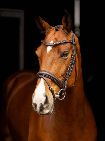 LeMieux Arika Anatomic Dressage Bridle