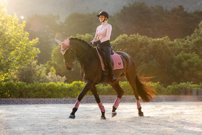 LeMieux Loire Classic Dressage Square - Spring 25