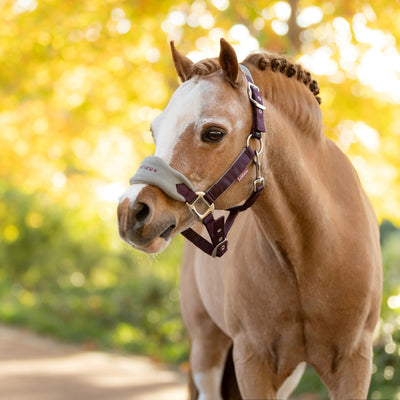 LeMieux Mini Vogue Headcollar & Leadrope - AW25