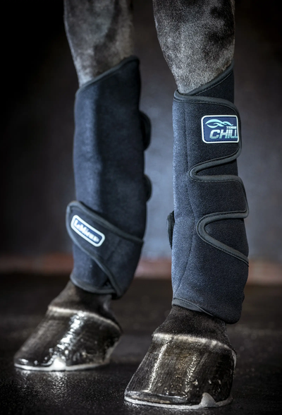 LeMieux Tendon Chill Boots