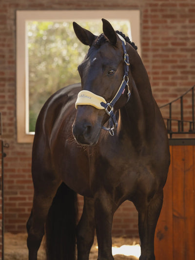LeMieux Vogue Headcollar & Leadrope - Spring 25