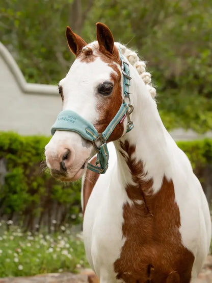 LeMieux Mini Vogue Headcollar & Leadrope - Spring 25