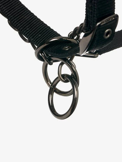 LeMieux ProSafe HeadCollar