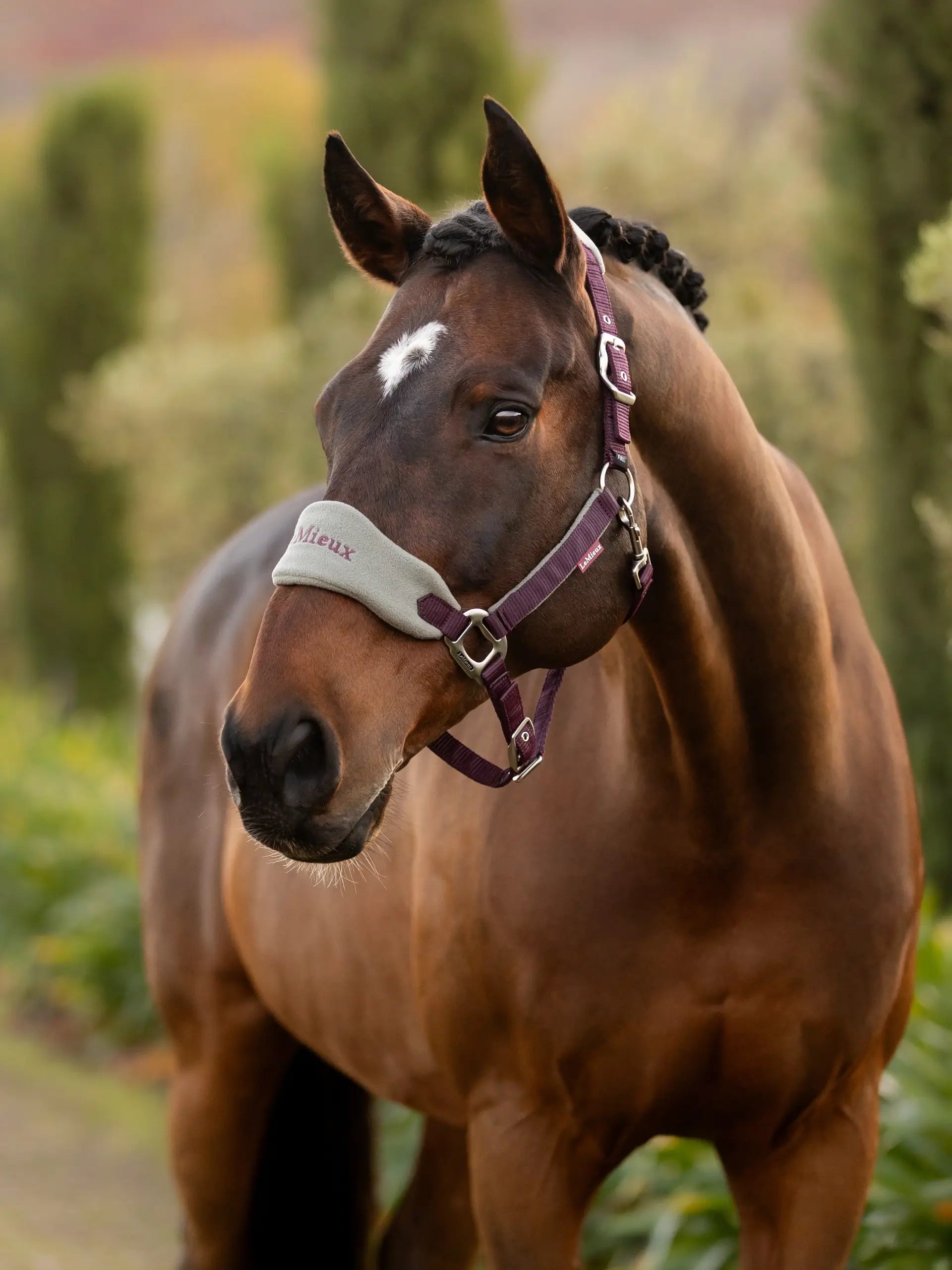 LeMieux Vogue Headcollar & Leadrope - AW25