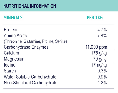 Poseidon Digestive EQ